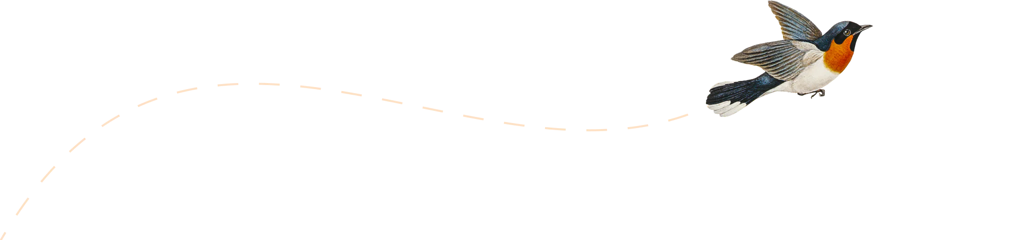 Ilustração de um pássaro voando.